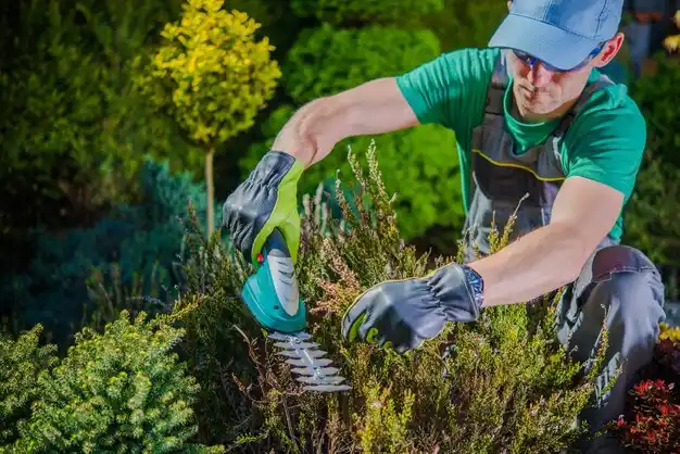 landscaping services Pacific